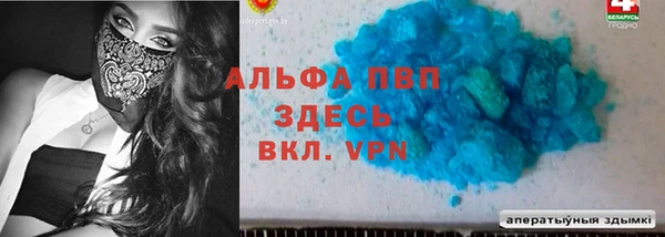 ешки Аркадак