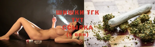 ешки Аркадак