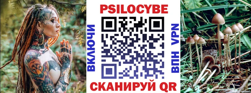 ссылка на мегу онион  Новый Уренгой  Галлюциногенные грибы мицелий  что такое наркотик 