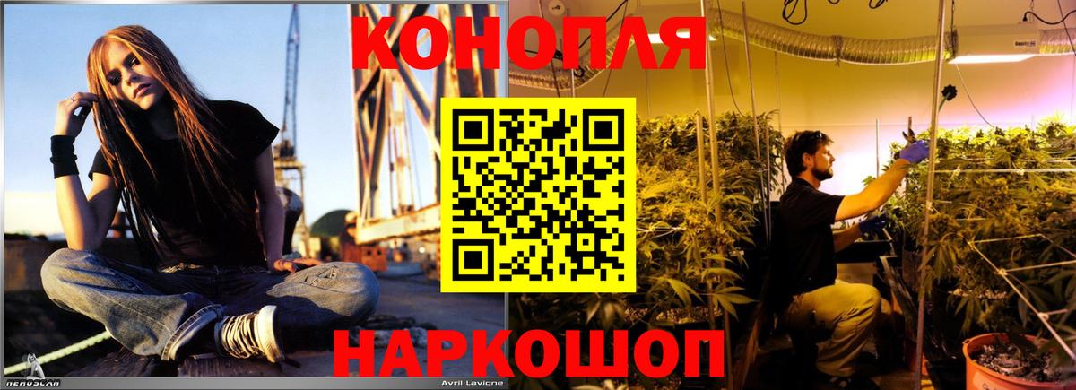 МАРИХУАНА планчик  Бошки Шишки SATIVA & INDICA  Канабис White Widow  Новый Уренгой  МАРИХУАНА White Widow  Вход с VPN 